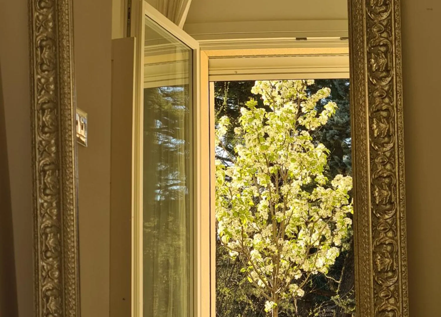 L'Incanto Sui Colli Con Giardino Privato Pianoro Włochy
